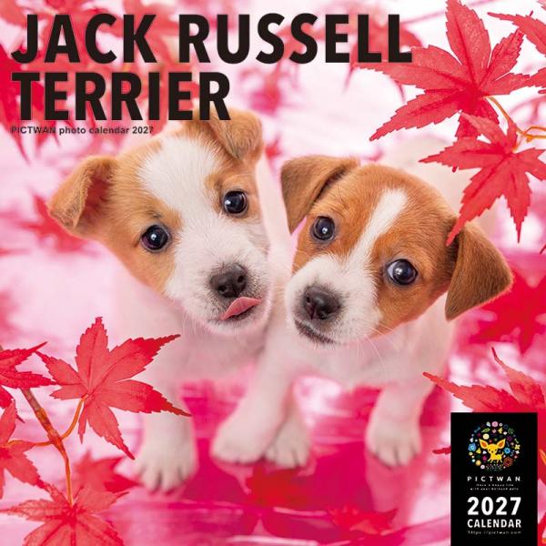 ピクトワンＬ版カレンダー２０２７ ジャックラッセル