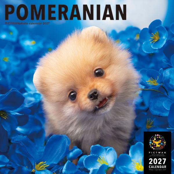 ピクトワンＬ版カレンダー２０２７ ポメラニアン