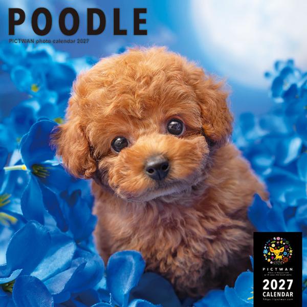 ピクトワンＬ版カレンダー２０２７ プードル