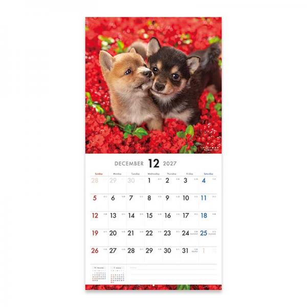 ピクトワンＬ版カレンダー２０２７ 柴犬