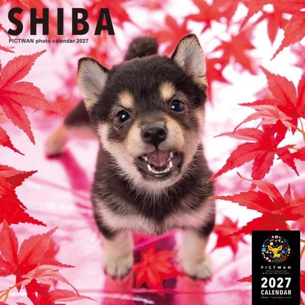 ピクトワンＬ版カレンダー２０２７ 柴犬