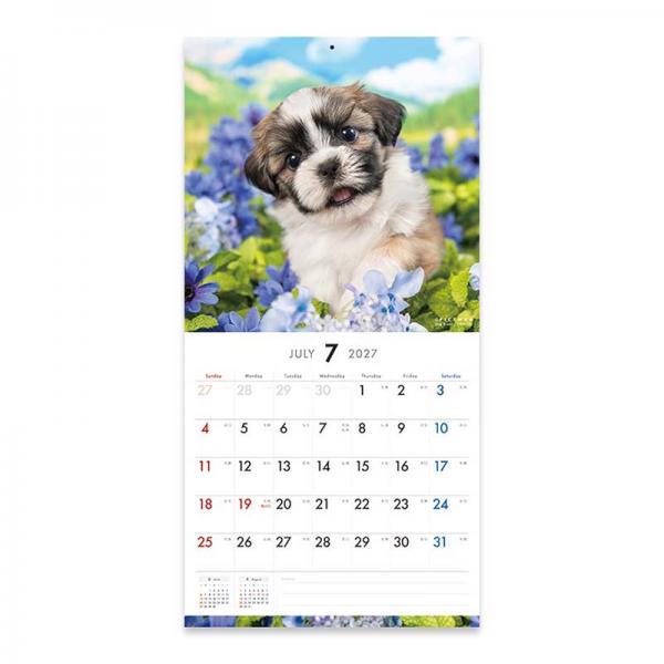 ピクトワンＬ版カレンダー２０２７ シーズー