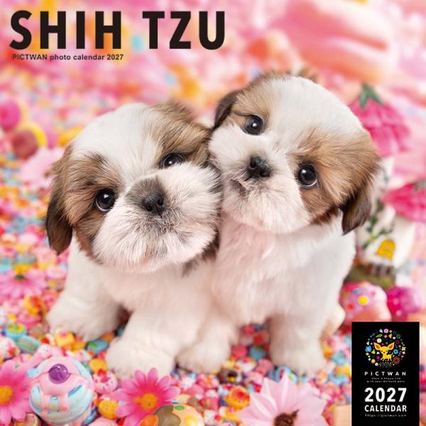 ピクトワンＬ版カレンダー２０２７ シーズー
