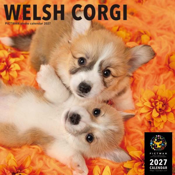 ピクトワンＬ版カレンダー２０２７ コーギー