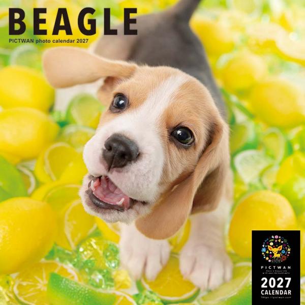 ピクトワンＬ版カレンダー２０２７ ビーグル