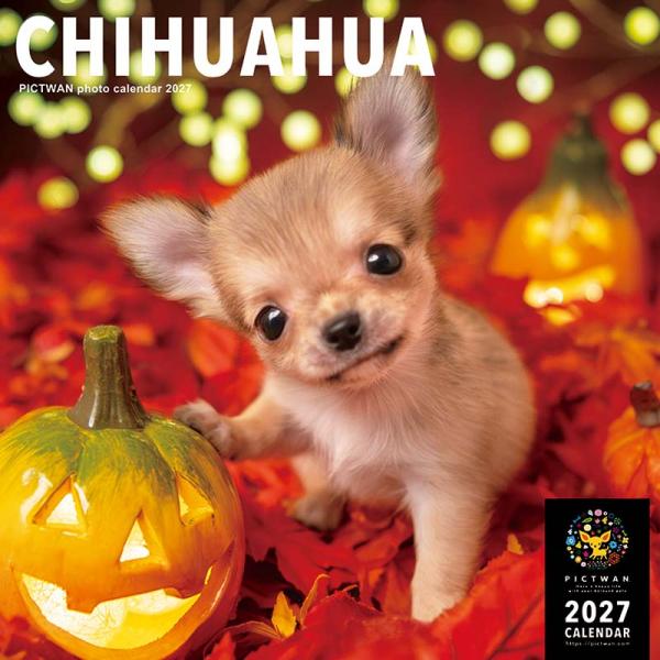 ピクトワンＬ版カレンダー２０２７ チワワ
