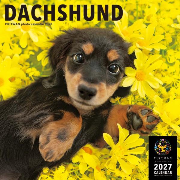 ピクトワンＬ版カレンダー２０２７ ダックス
