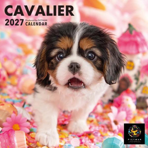 ピクトワンＳ版カレンダー２０２７ キャバリア