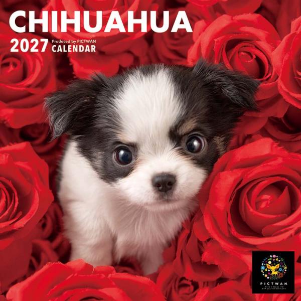 ピクトワンＳ版カレンダー２０２７ チワワ