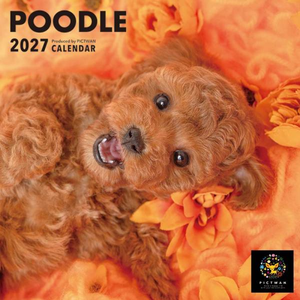 ピクトワンＳ版カレンダー２０２７ プードル