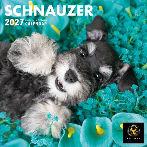 ピクトワンＳ版カレンダー２０２７ シュナウザー