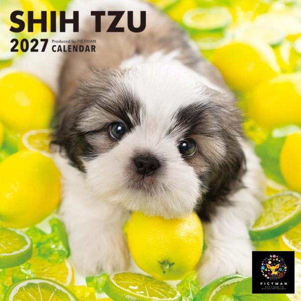 ピクトワンＳ版カレンダー２０２７ シーズー