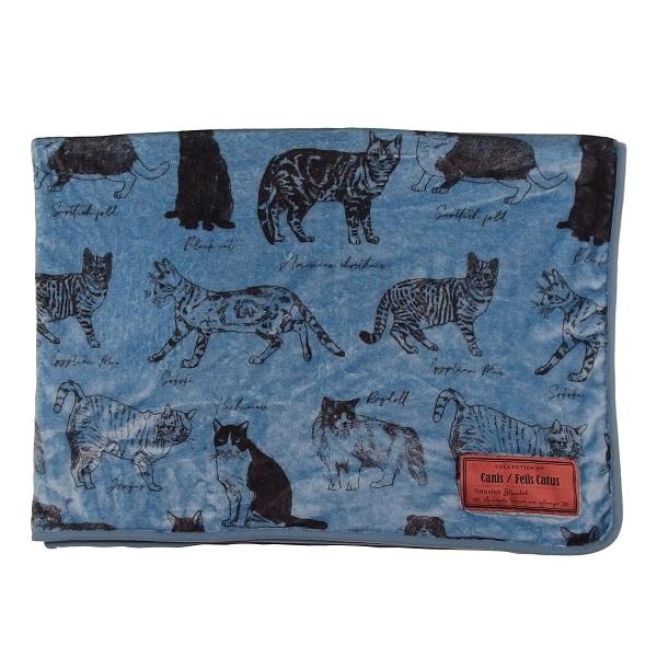 ＭＯＮＯブランケット ＣＡＴブルー Mサイズ