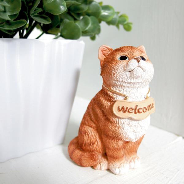 ウエルカムキャット チャトラ