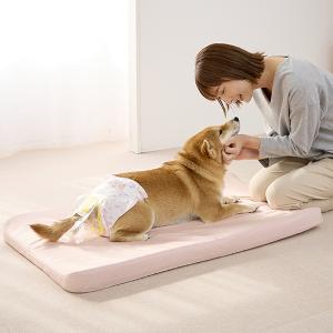 うんぽパンツ｜ 犬用おむつ・生理用品｜ ペット用品の通販サイト