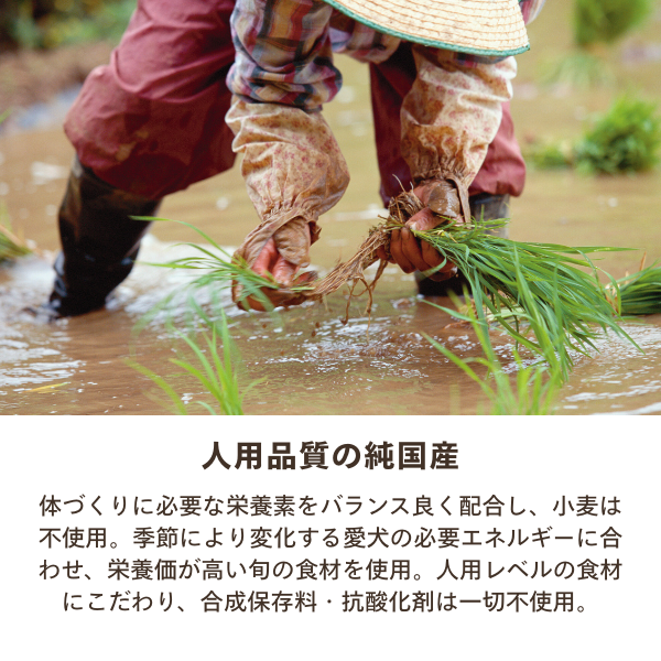 特選吉岡フード　シニア　ミックス　（小粒、中粒） 