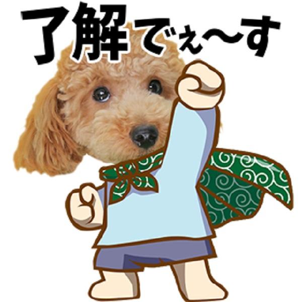 うちの子ＬＩＮＥスタンプ(幼稚園セット) 01