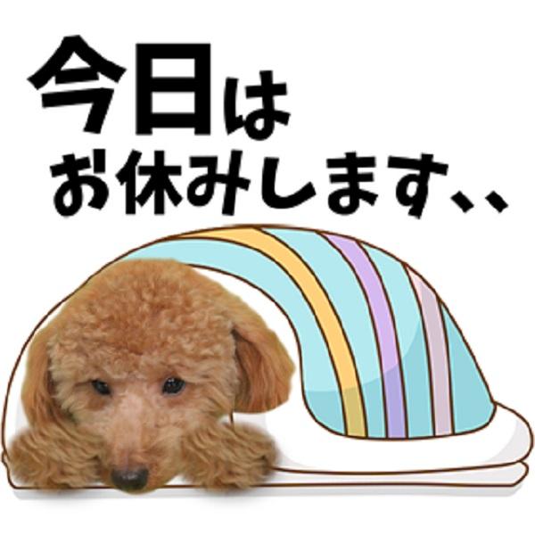 うちの子ＬＩＮＥスタンプ(幼稚園セット) 07