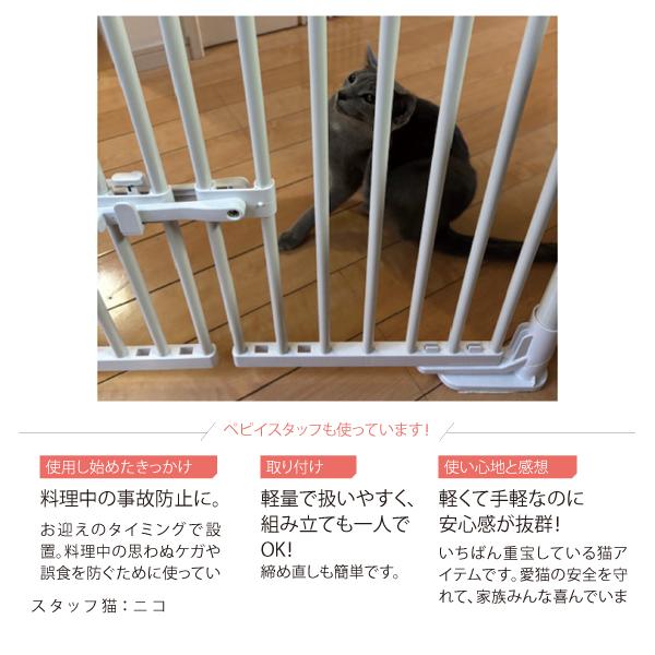 のぼれんニャン　バリアフリー クイック 