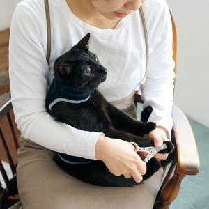 にゃんケアチョッキ アニサポ NYAN CARE CHOKK 黒 アニサポ にゃんケアチョッキ 【2025年4月新発売】 – anifull
