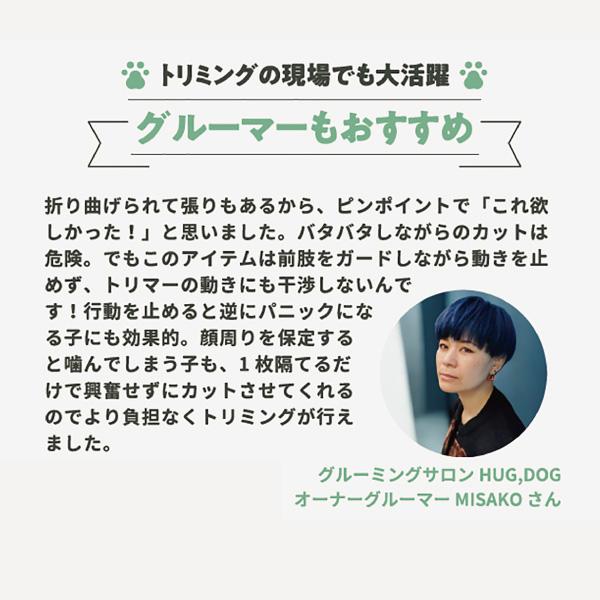 アニサポ　ちょっとだけだカラー 