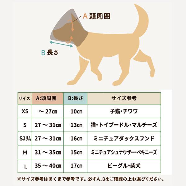 アニサポ　ちょっとだけだカラー 