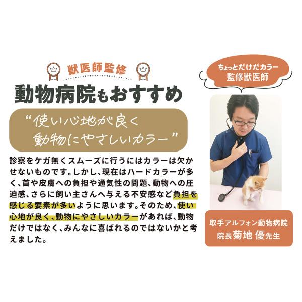 アニサポ　ちょっとだけだカラー 