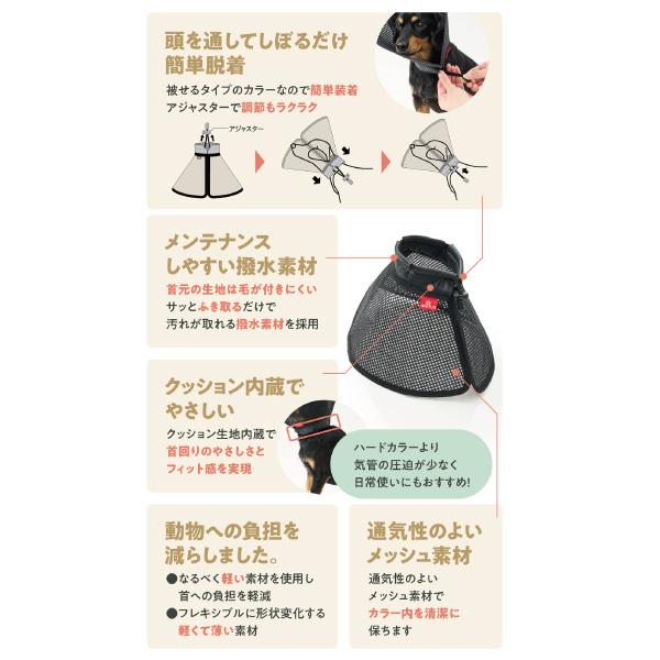 アニサポ　ちょっとだけだカラー 