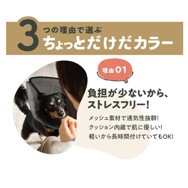 アニサポ　ちょっとだけだカラー 