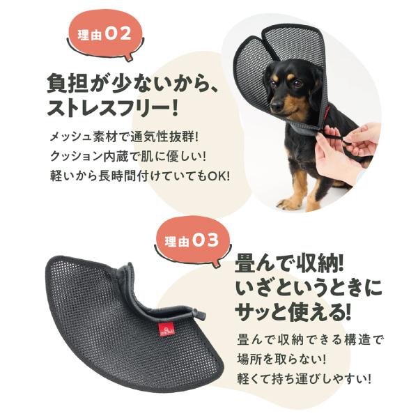 アニサポ　ちょっとだけだカラー 