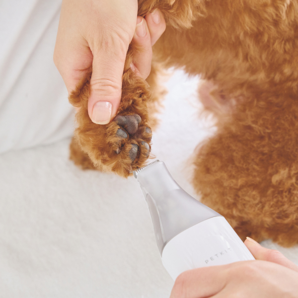 PETKIT バリカンブラッシング掃除機 LM４ 