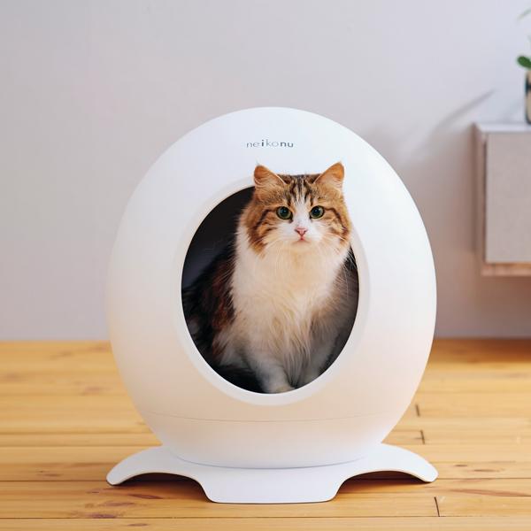 ルームホワイト 