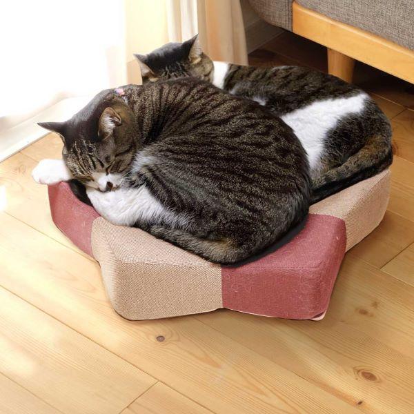 爪とぎクッション　ガリぼろスター ピンク