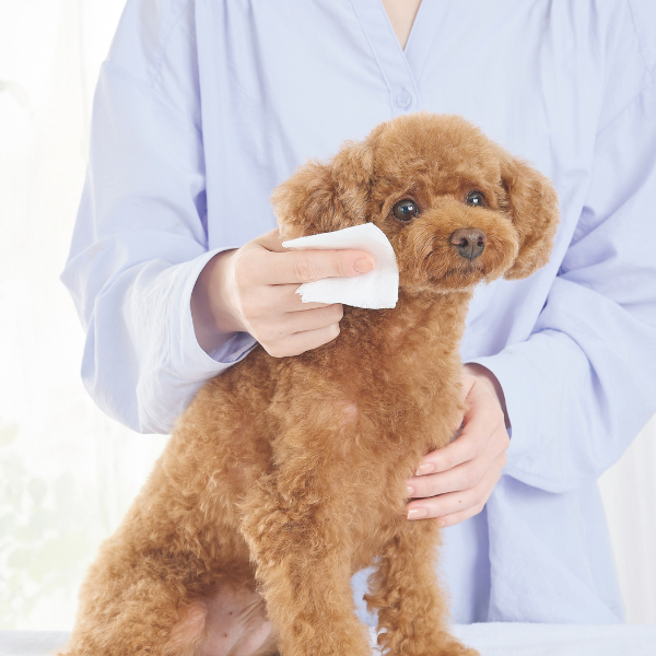 mofuwa(モフワ)スキンケアミスト 