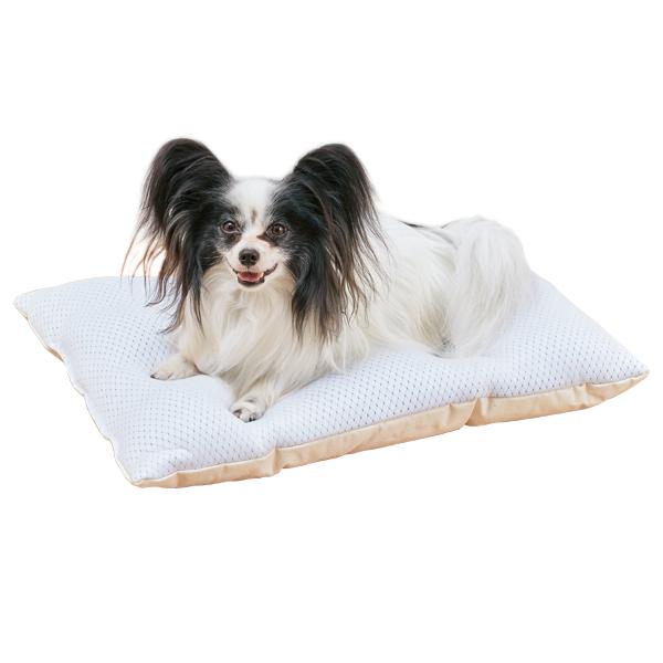 超クール・ふわふわクッション Sサイズ／夏はヒンヤリ面。