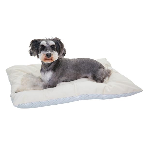 超クール・ふわふわクッション Mサイズ／春先はサラサラ面。