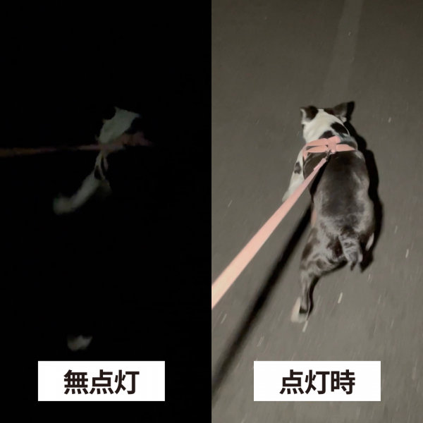 充電式ぴかりミニライト 暗いお散歩道が驚くほど明るくなる！