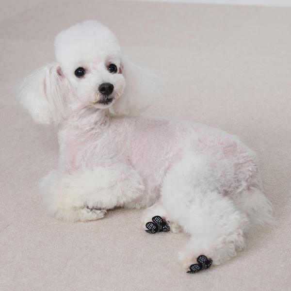 すべり止めシール　肉球ピタット 