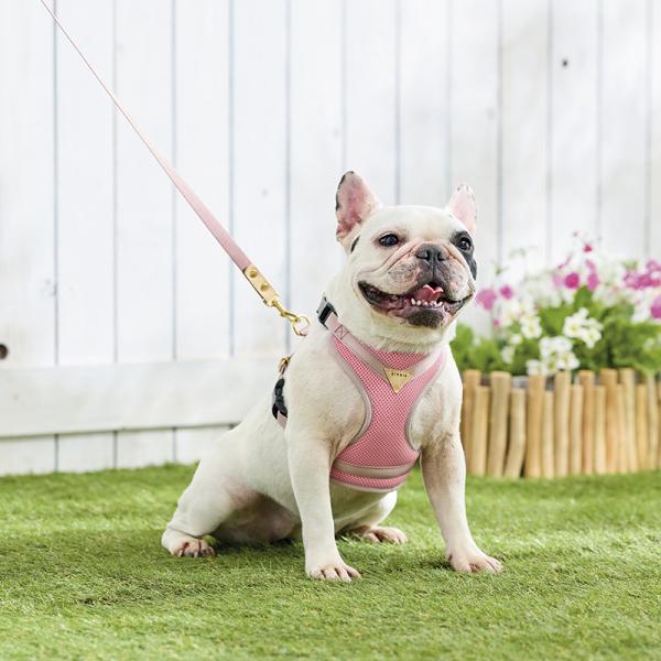 BIRDIE（バーディ）コロンハーネス ピンク