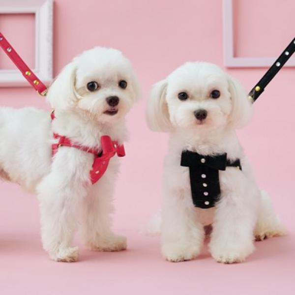 BIRDIE（バーディ）　リンバーハーネス ピンク / ブラック※リードは別売りです。