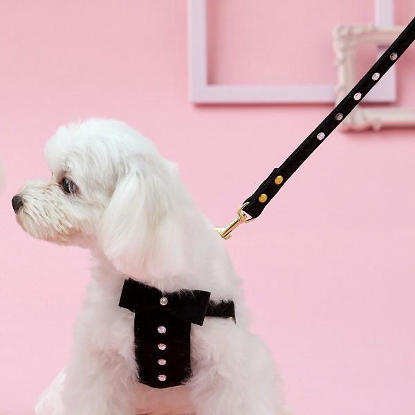 BIRDIE（バーディ）リンバーリード ブラック※ハーネスは別売りです。