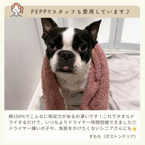 ★綿１００％のふわさらドライタオル 