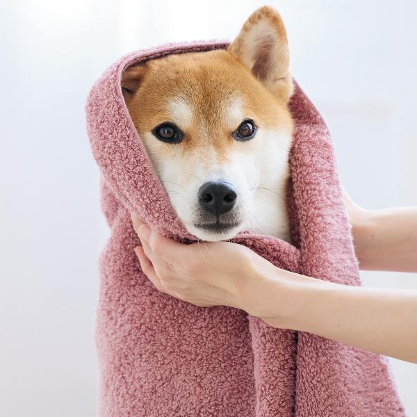 ★綿１００％のふわさらドライタオル ローズピンク