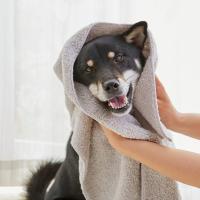 ★【限定販売】綿１００％のふわさらドライタオル