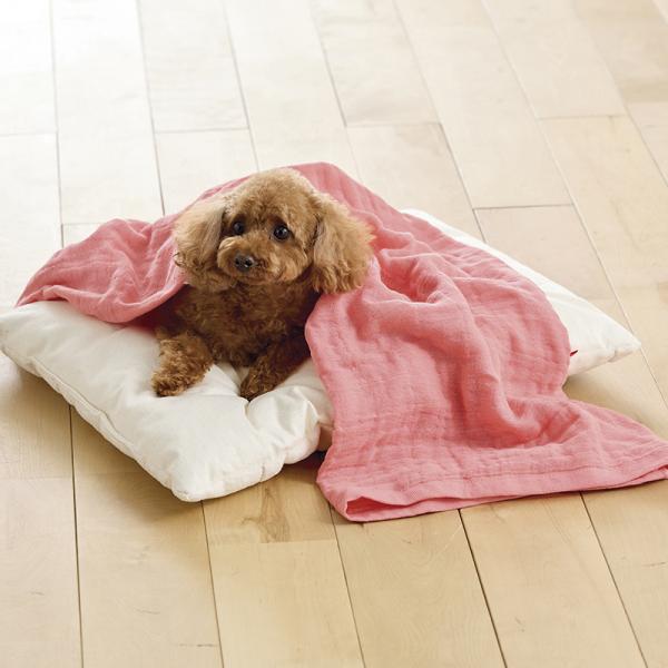 綿１００％の３重ガーゼおくるみタオル ブランケット使いもできて年中大活躍♪