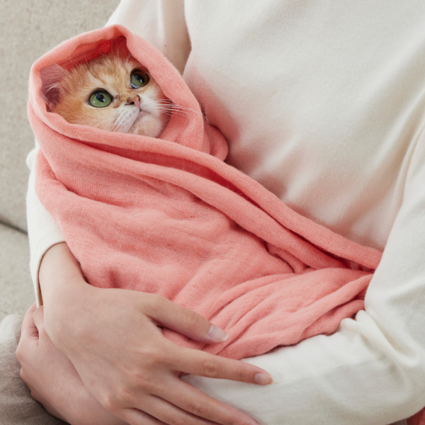 綿１００％の３重ガーゼおくるみタオル 肌触りのよさにうっとり。