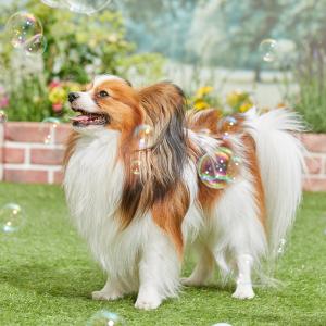 バブル ドッグガン 犬用おもちゃ ペット用品の通販サイト ペピイ Peppy