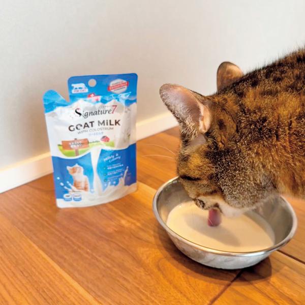 シグネチャー７　ＣＡＴ　ゴートミルク 