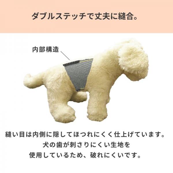 マイティ　ジュニア 