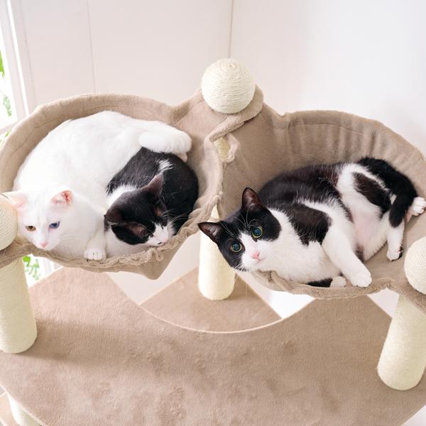 多頭用大きなダブルハンモックタワー（高さ170cm　据え置き型　多頭飼い　大型猫） ハンモックは直径40cm！両サイドで支えているから抜群の安定感！
